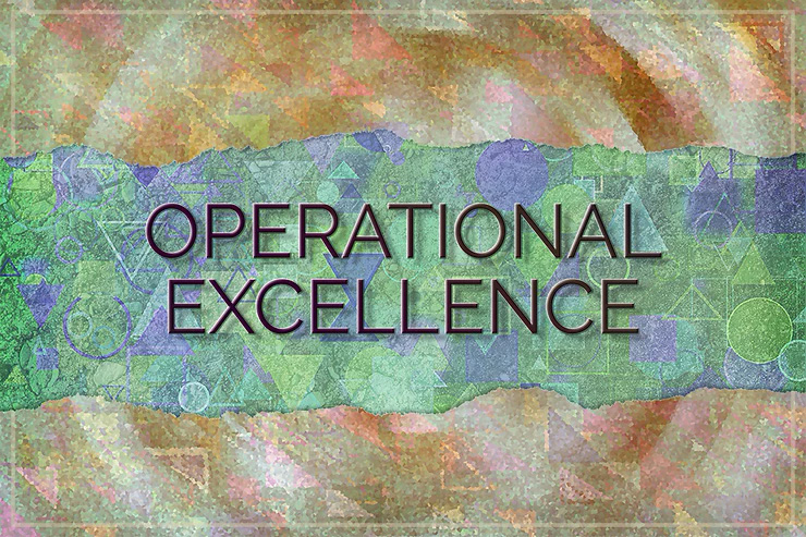 Operational excellence should be the holy grail of process plants
